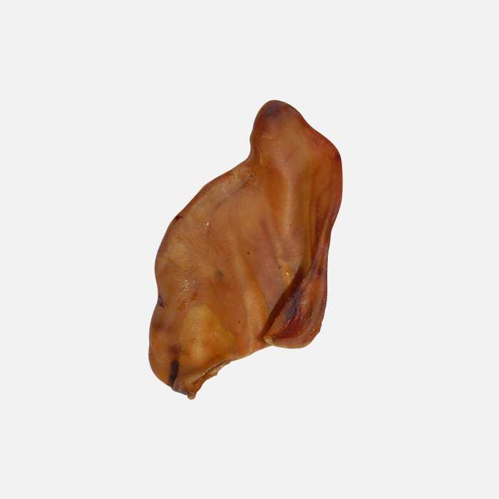 Oreille de Porc Wouandise de Wouapy