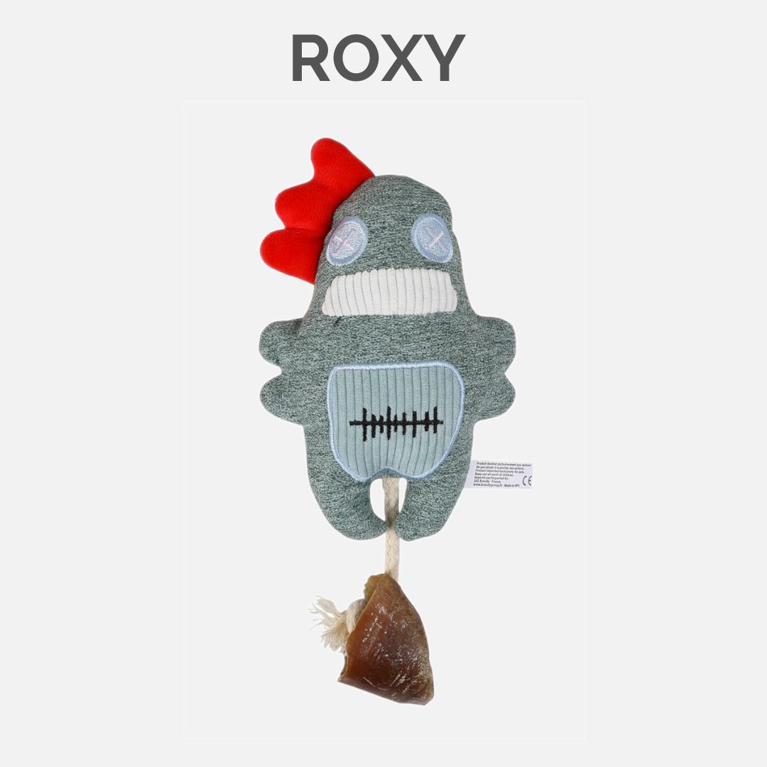 ROXY - DINGO